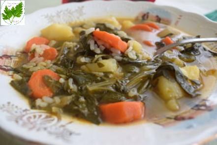 Sopa de Acelgas