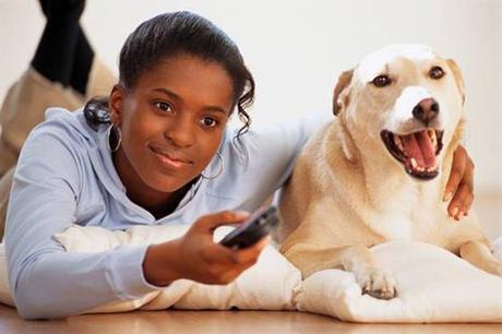 Los 11 Mejores Trabajos Para Jóvenes cuidar mascotas