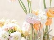 Rosa, Blanco Tonos Pastel