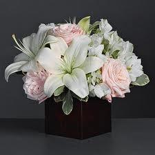 ALSTROEMERIAS+5 LAS MAS BONITAS ALSTROEMERIAS EN CUENCA PARA TI