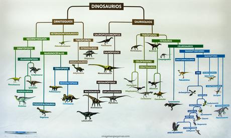 Museo de Paleontología de Castilla la Mancha (MUPA). Tierra de Dinosaurios