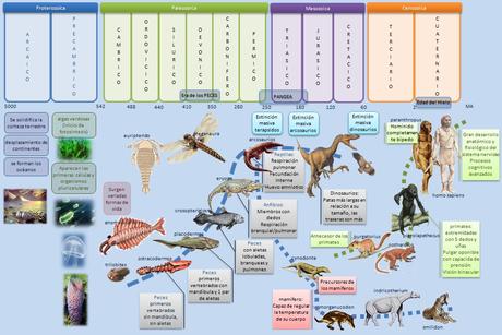 Conoce a los dinosaurios que habitaban Castilla la Mancha, España, 66 millones de años antes de que tu nacieras