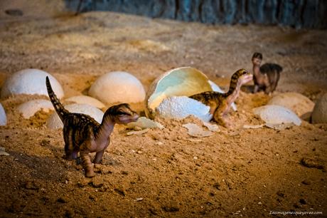 Museo de Paleontología de Castilla la Mancha (MUPA). Tierra de Dinosaurios