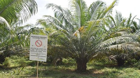 Tierras Proyecto de modificación de Ley de Tierras ataca ... Tierras Proyecto de modificación de Ley de Tierras ataca ...