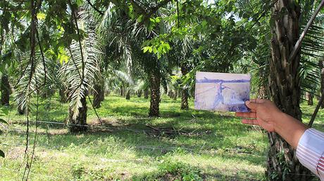 Tierras Proyecto de modificación de Ley de Tierras ataca ... Etapa administrativa restitución de tierras