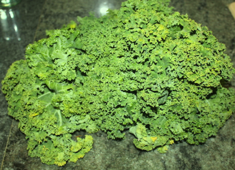 KALE O COL RIZADA KALE O COL RIZADA