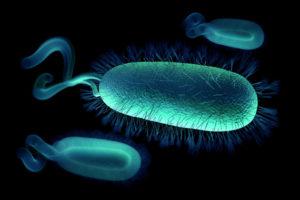 Helicobacter pylori: Causas, Sintomas y Tratamiento