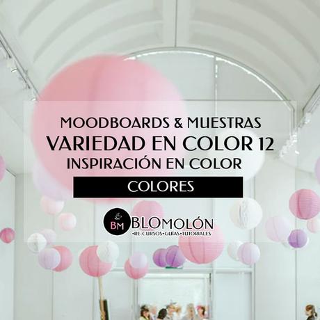 Variedad En Color 12 MoodBoards & Muestras