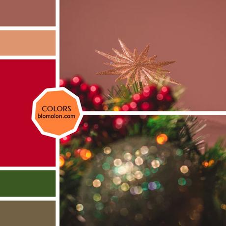 Variedad En Color 12 MoodBoards & Muestras