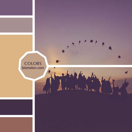 Variedad En Color 12 MoodBoards & Muestras