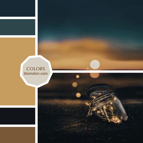 Variedad En Color 12 MoodBoards & Muestras