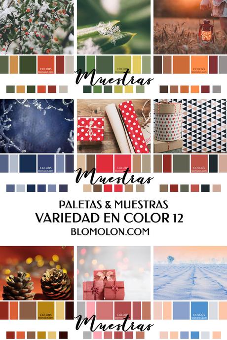 Variedad En Color 12 MoodBoards & Muestras