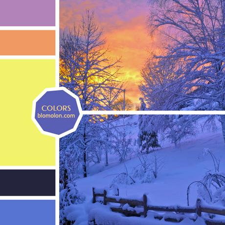 Variedad En Color 12 MoodBoards & Muestras