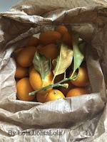 BIZCOCHO DE KUMQUATS O NARANJITAS CHINAS BIZCOCHO DE KUMQUATS O NARANJITAS CHINAS