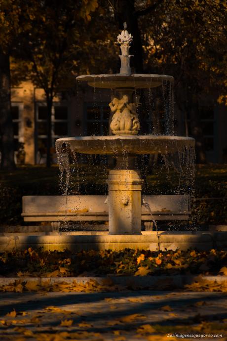 Fuente de otoño Arboles con sus hojas amarillas de otoño