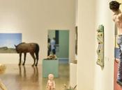 muestra 2018: Pablo Suárez MALBA