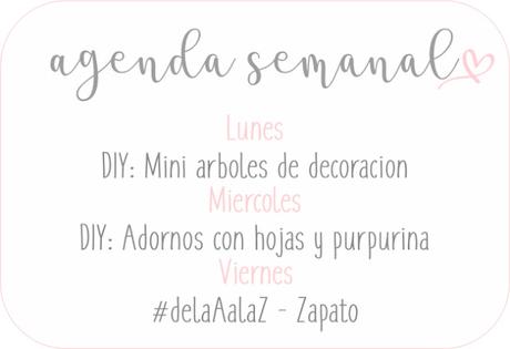 Agenda Semanal 17/12 - 23/12