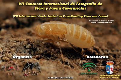 VII Concurso Internacional de Fotografía de Flora y Fauna Cavernícolas (VII International Photo Contest on Cave-Dwelling Flora and Fauna)
