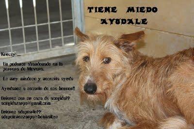 Krusty tiene miedo, ¿quieres ayudarle?