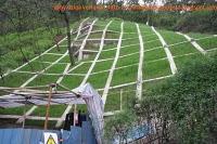 Chongqing, caos urbano