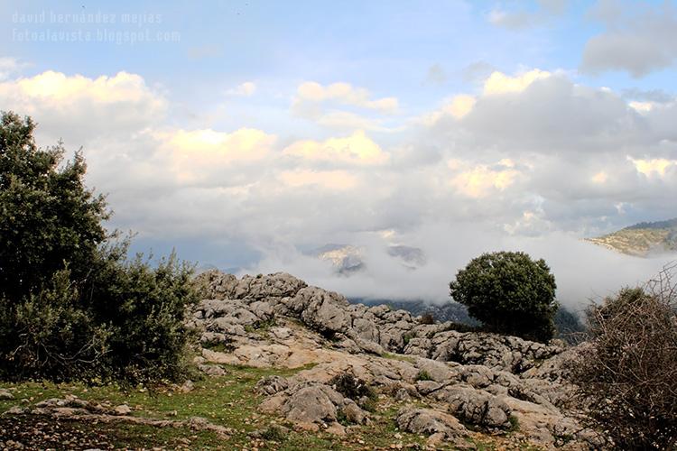 Paisaje de un barranco de los montes de Jaén, España, con un cielo cubierto de nubes y niebla que va cubriendo el fondo inexorable hasta no dejar ver el horizonte como si la nada lo llenara todo