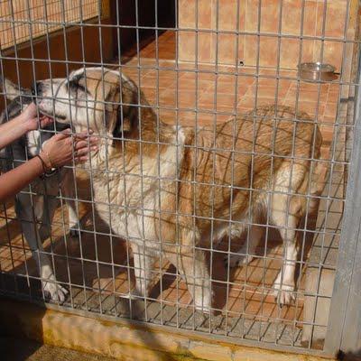 Tres vidas que dependen de un transporte.