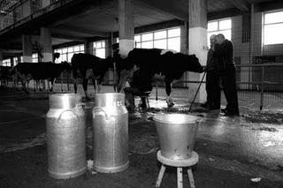 CINCO SEGUNDOS CINCO SEGUNDOS