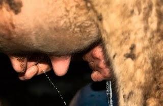 CINCO SEGUNDOS CINCO SEGUNDOS