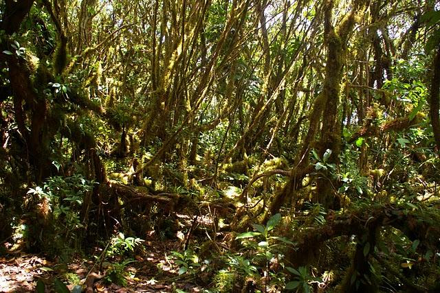 Granada, Ometepe y sus volcanes