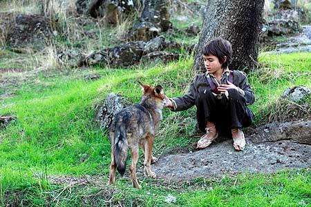 ‘Entrelobos’-bella e infantil fábula ecologista-