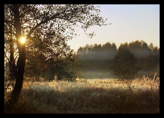 NATURALEZA..........