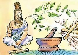 HALAVA DE ZANAHORIA (Receta tradicional hindú – ayurvédica)