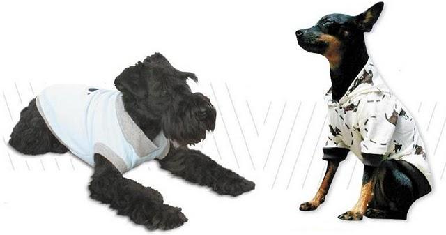 Perros a la última con CADELÍN