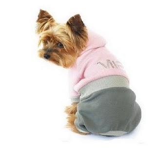 Perros a la última con CADELÍN