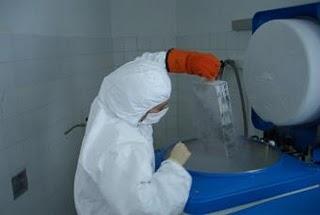 Decenas de miles de embriones congelados esperan su destino en España