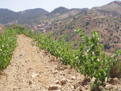 TORROJA DEL PRIORAT . RAMPELL Y PARDELASSES