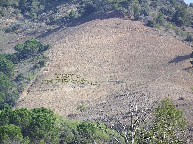 TORROJA DEL PRIORAT . RAMPELL Y PARDELASSES