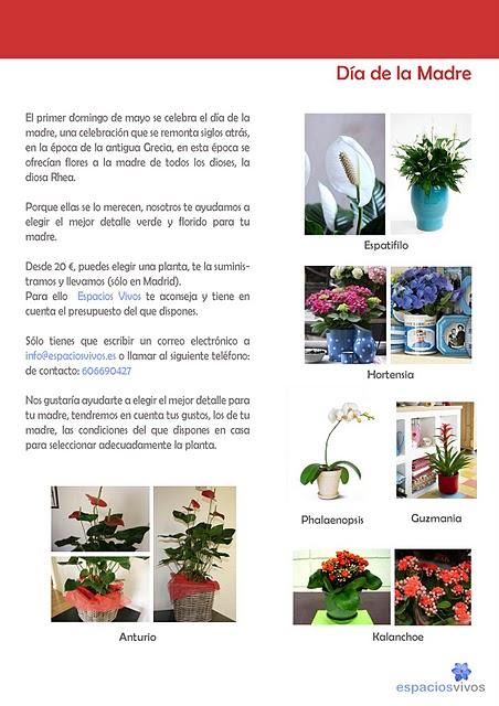 Regalos verdes y floridos a vuestra madre. Campaña día de la Madre