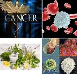 Hierbas y plantas utilizadas en el tratamiento de cáncer