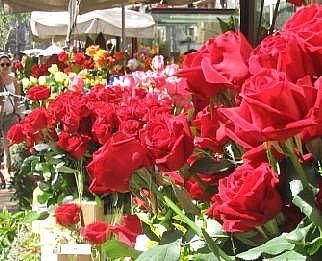 Hoy es mi Cumpleaños! Hoy es mi Cumpleaños!