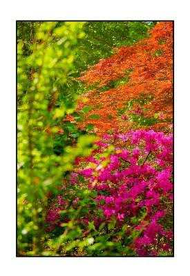 78. MI HIJO NACIÓ DOS VECES