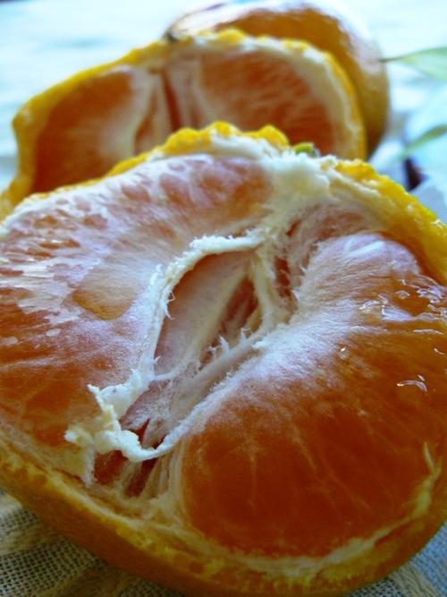 Torta húmeda de mandarinas | Pascua 1