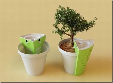 kjd-jarst1-optimized_OLkXl_17621