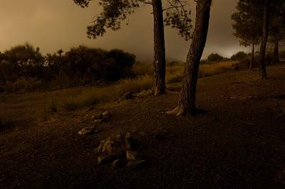 Miquel Llonch