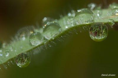 Tan sólo una gota de agua