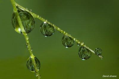 Tan sólo una gota de agua