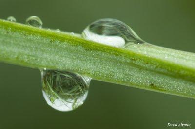Tan sólo una gota de agua