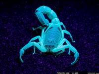 Enlaces de la semana (16/11)