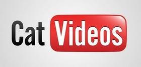 Enlaces de la semana (16/11)