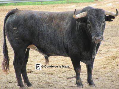 Toros del Excmo. Conde de la Maza para Sevilla